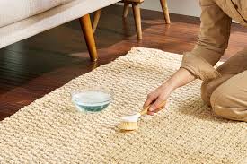 how to clean an area rug to make it
