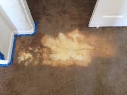 bleach stain carpet repair phoenix