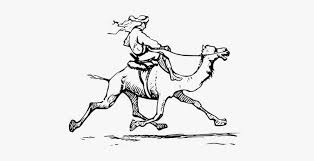 It's a completely free picture material come from the public internet and the real upload of users. Animal Camel Mammal Man Rider Riding Runni Man Riding Camel Gif Png Image Transparent Png Free Download On Seekpng