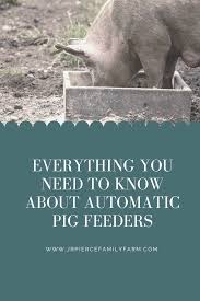 how do automatic feeders for pigs work