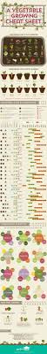 A Vegetable Growing Guide Infographic Cheat Sheet