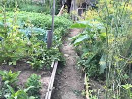 Community Gardens Soil Science