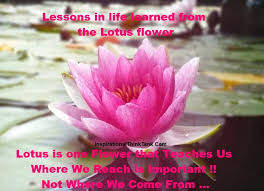 'by means of microscopic observation and astronomical projection the lotus flower can.' Lotus Flower Love Quotes Quotesgram