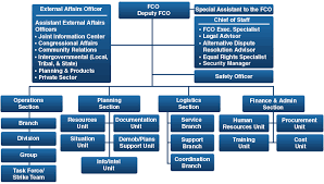 Fema Org Chart Ics Basic Organization Chart