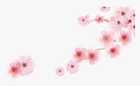 6,000+ vectors, stock photos & psd files. Cherry Blossom Cartoon Romantic Sakura Japanese Cartoon Sakura Png Cartoon Transparent Png Transparent Png Image Pngitem