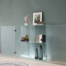 Frosted Glass Cabinet Doors Shelves