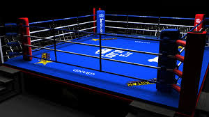 Image result for boxing ring