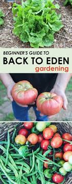 Beginner S Guide To Back To Eden Gardening