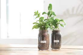 Roots Kitchen Herb Garden Organic Basil