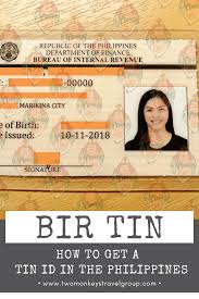 How to get tin id in cebu. How To Get A Bir Tin And Tin Id In The Philippines