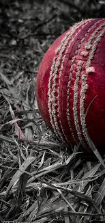 cricket wallpapers 47 images inside
