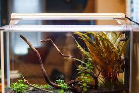 Options For Fluval Spec Light Upgrade Fish Tank Aquarium Fish Tank Led Aquarium Lighting