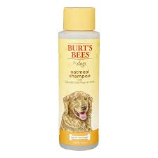 dog shoos for your pup s dry skin