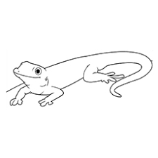 Check spelling or type a new query. Top 10 Free Printable Lizard Coloring Pages Online