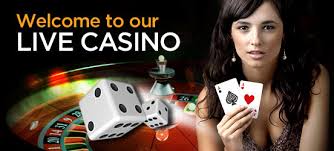 Chính sách và quyền lợi khi làm đại lý - Casino nhà cái trực tuyến với các dealer xinh đẹp