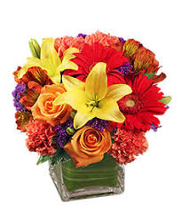 As a family owned and operated florist business, we understand the importance of sending flowers and what it means to the recipient. Iowa Florist Buy Flowers From Your Local Full Service Retail Flower Shops And Florists Serving Iowa