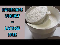 homemade yogurt lactose free scd