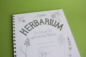 Ein herbarium oder herbar (v. Herbarium Mal Machbucher Labbe Onlineshop Herbarium Vorlage Deckblatt Schule Deckblatt Gestalten