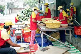 Kết quả hình ảnh cho Vai trò của khu vực kinh tế tư nhân trong quá trình công nghiệp hoá rút ngắn ở Việt Nam