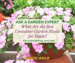 Container Garden Plants For Shade