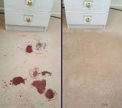 carpet cleaning west auckland