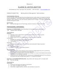Business Analyst In Banking Domain Resume   Free Resume Example     snefci org