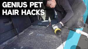remove dog hair from your car the easy