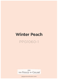 Light Peach Wall Paint Color Off 63