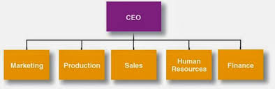 12 Paradigmatic Organizational Chart Definition Management