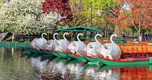 boston public garden swan boats 2022