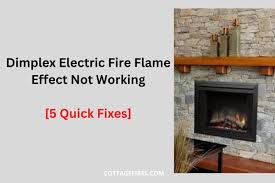 Dimplex Electric Fire Flame Effect Not