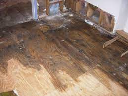 preventing mold wood rot