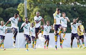 South africa men's national football team ）は、南アフリカ共和国サッカー協会により構成される南アフリカ共和国のサッカーのナショナルチーム。 Htq6n8lwnwtzfm