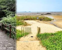 충남 서천 여행지 명소, AI로 생성