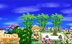 Zen Garden Animal Crossing Amino