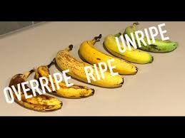 What Color Is A Ripe Banana Banana Ripeness Scale