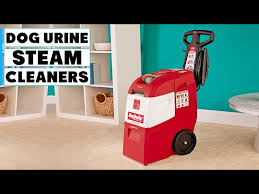 steam cleaner solution for dog urines