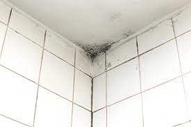 tips for painting moldy bathroom walls