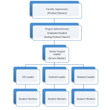 Project Organizational Chart Download Scientific Diagram