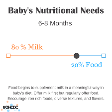 baby s nutritional needs 6 to 8