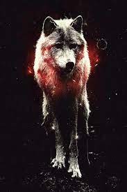 34 cool wolf iphone wallpapers