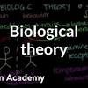 Dispositional Personality Theories vs Biological Theories