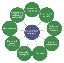 Social Determinants Of Health Hub And Spoke Diagram