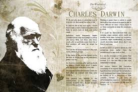 the wisdom of charles darwin poster