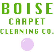 boise carpet cleaning company