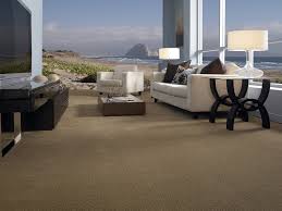 carpet floors by ray