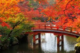 Image result for autumn images