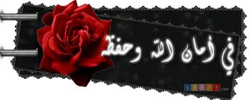 video quran mustufa allahuny mixed written translation english french arabic sora full from islamway.net