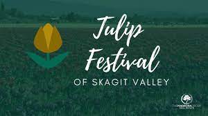 the tulip festival of skagit valley