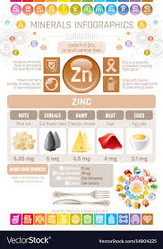 Zinc Mineral Supplement Rich Food Icons Healthy